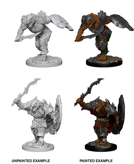 D&D - NMM - Dragonborn Fighter