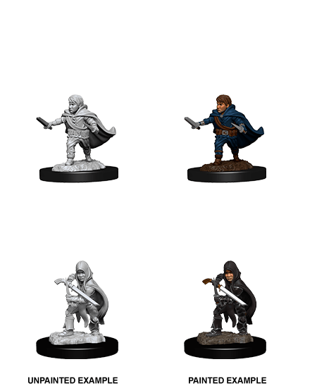 D&D - NMM -  Halfling Rogue