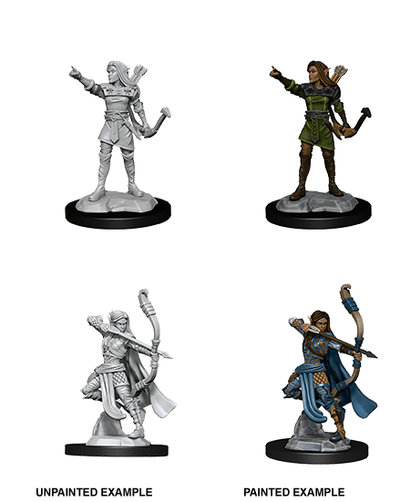 D&D - NMM -  Elf Ranger