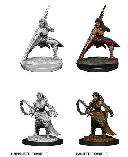 D&D - NMM -  Human Monk