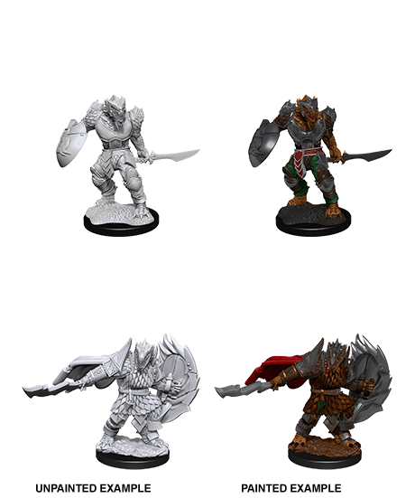 D&D - NMM -  Dragonborn Fighter